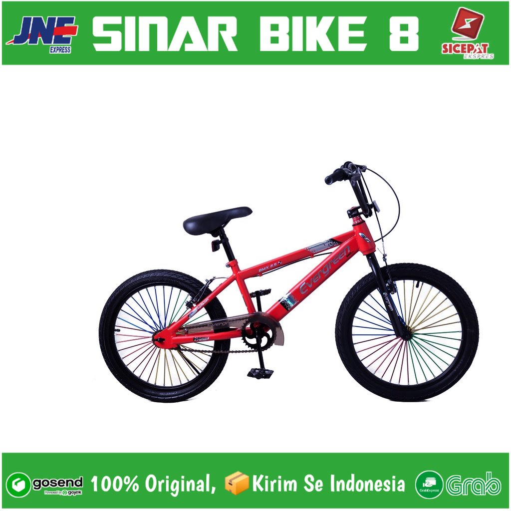 Sepeda Anak Laki BMX Ukuran 20 Inch Evergreen B2 Ban 2.50 murah