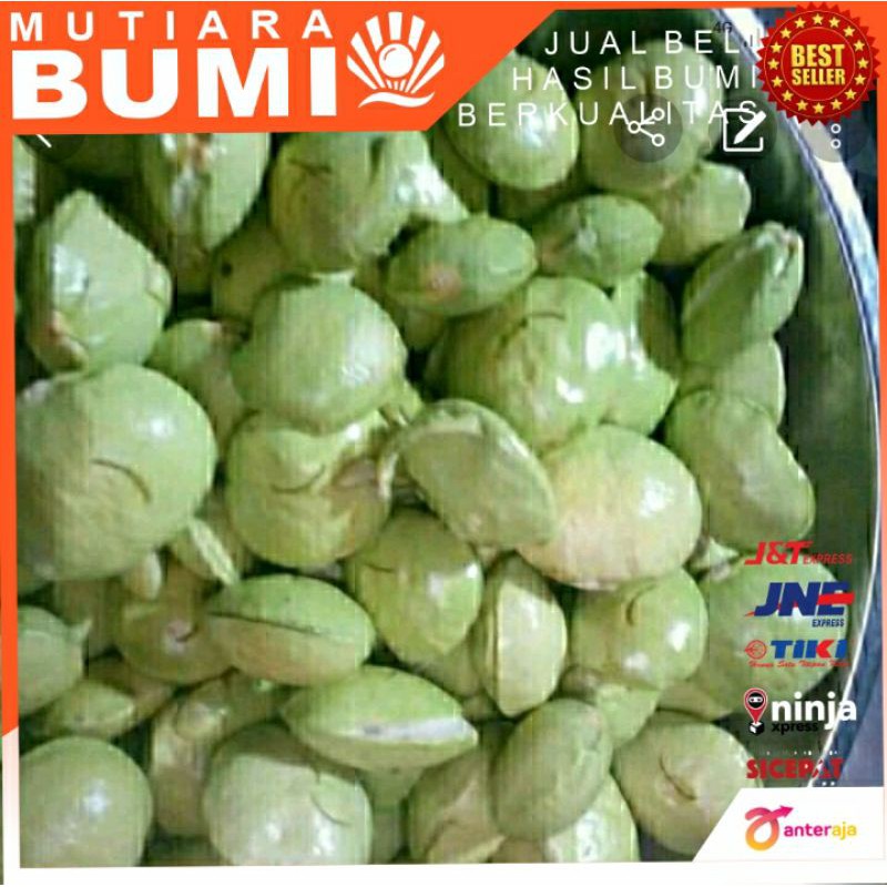 

Jengkol muda lalapan segar 500gr