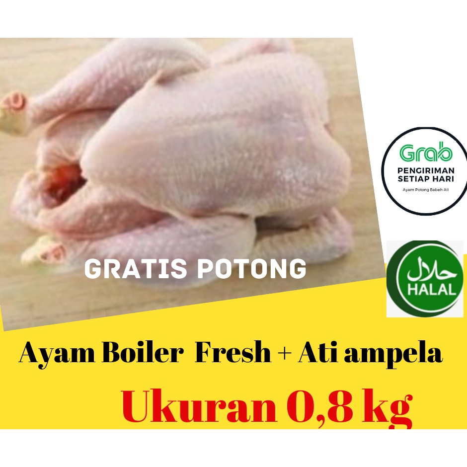 

Ayam Potong / Ayam Segar / Ayam Boiler 0,8KG