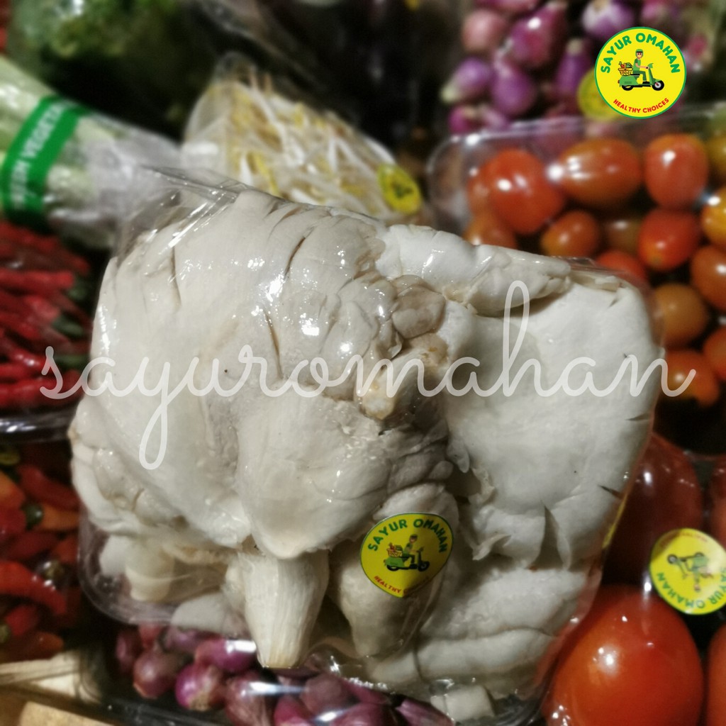 

Jamur Tiram - Jamur Kancing Putih