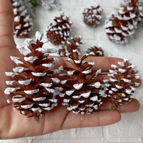 1 Pcs Buah Pinus Salju Tali atau Vernis Sedang Murah Hiasan Natal Christmas Assesories Decoration Proferty Photo Booth Dekorasi