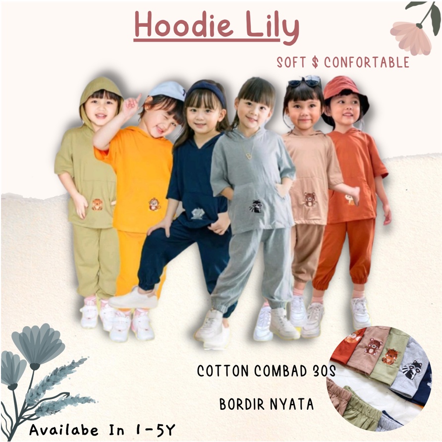 Setelan Anak Unisex Hoodie Lily Oversize Mix Warna Size 1-5Tahun SMILEE CBKS S23