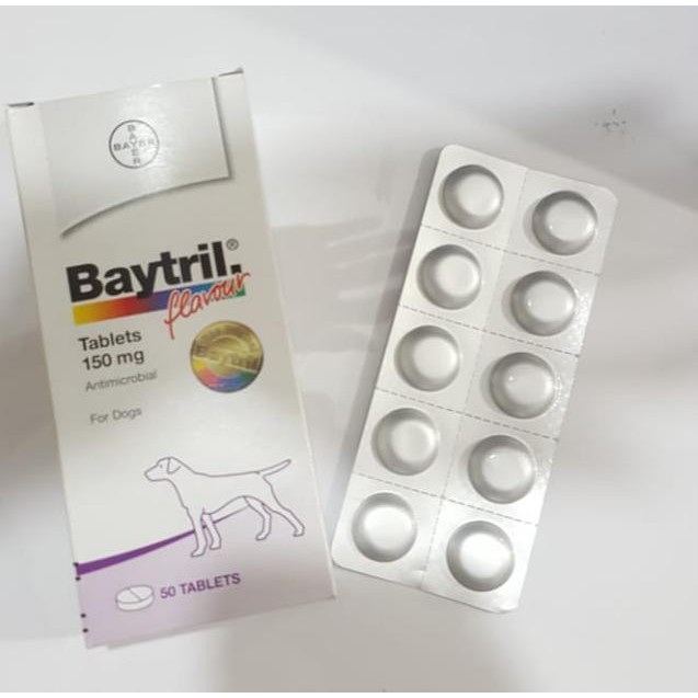 Baytril Flavour Tablet 150 mg - Antibiotik Anjing Kucing