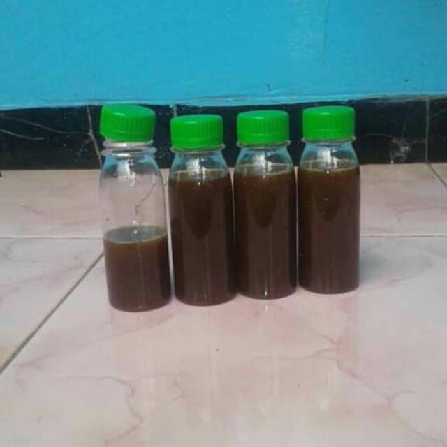 

Positif madu klanceng