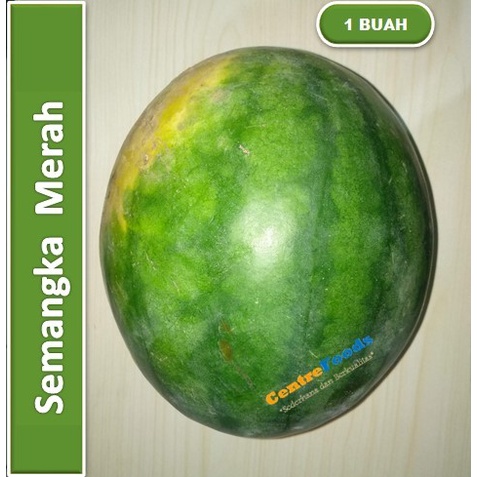 

Buah Semangka Merah - Non Biji | Size 3-4 Kg [ Harga Per PCS ]