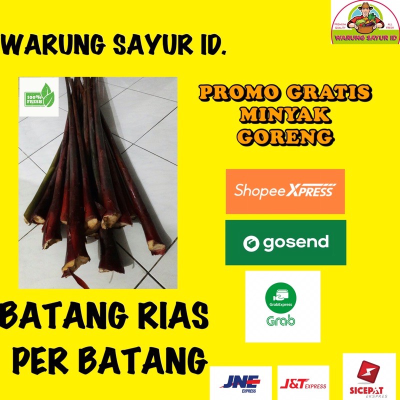 

WARUNG SAYUR ID.| BATANG RIAS PER BATANG | SAYUR ONLINE | SAYUR SEGAR