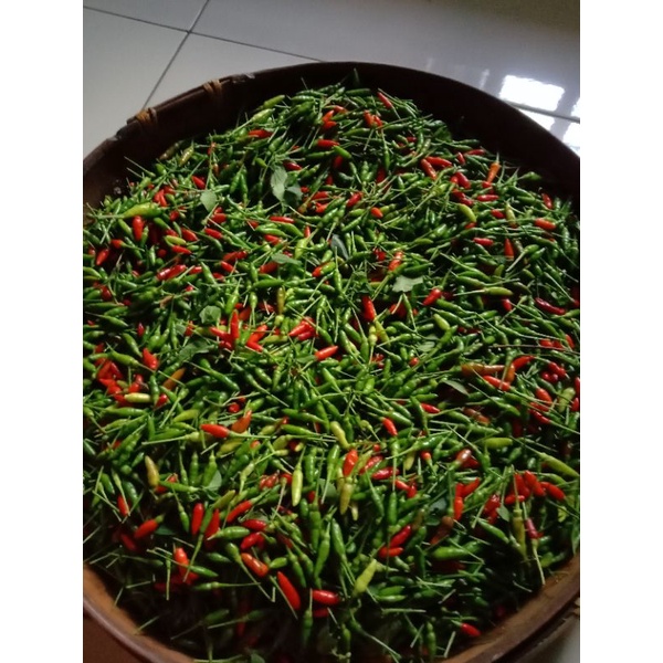 

cabe rawit cabe gunung cabe rawit impling pedas 500g / setengah kilo