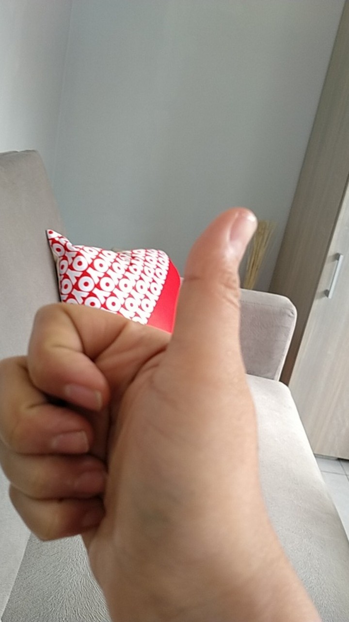 Bambu Hoki / Lucky Bamboo / Bambu Rejeki / Bambu Cina/ Bambu Mini