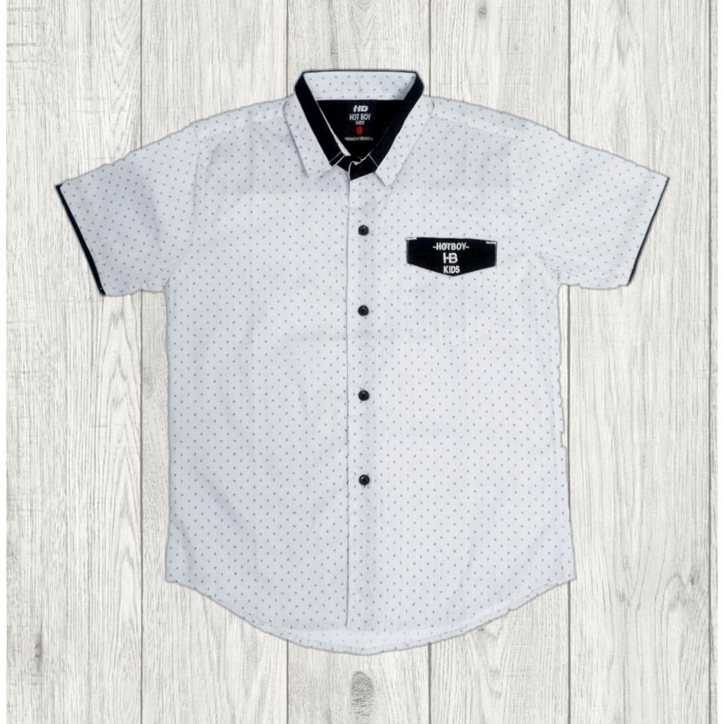 

Dancus - Kemeja Anak Casual Motif Printing Tangan Pendek Size 4 - 14 (RK048.2)B