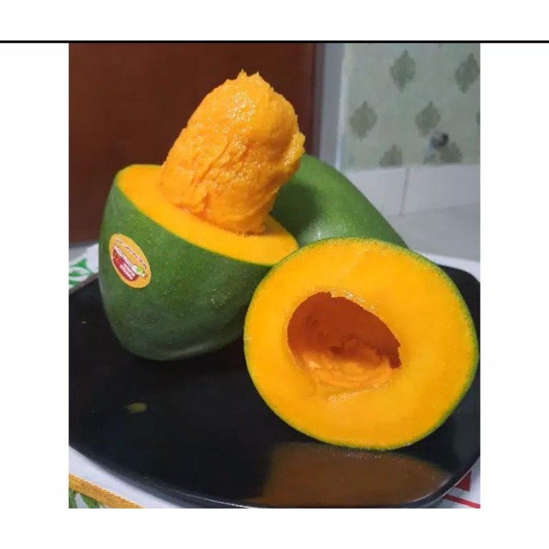 

MANGGA ALPUKAT