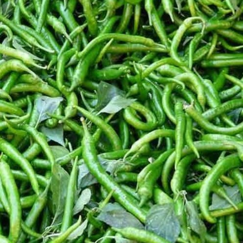 

200gr Cabe Hijau Keriting / Cabai Hijau
