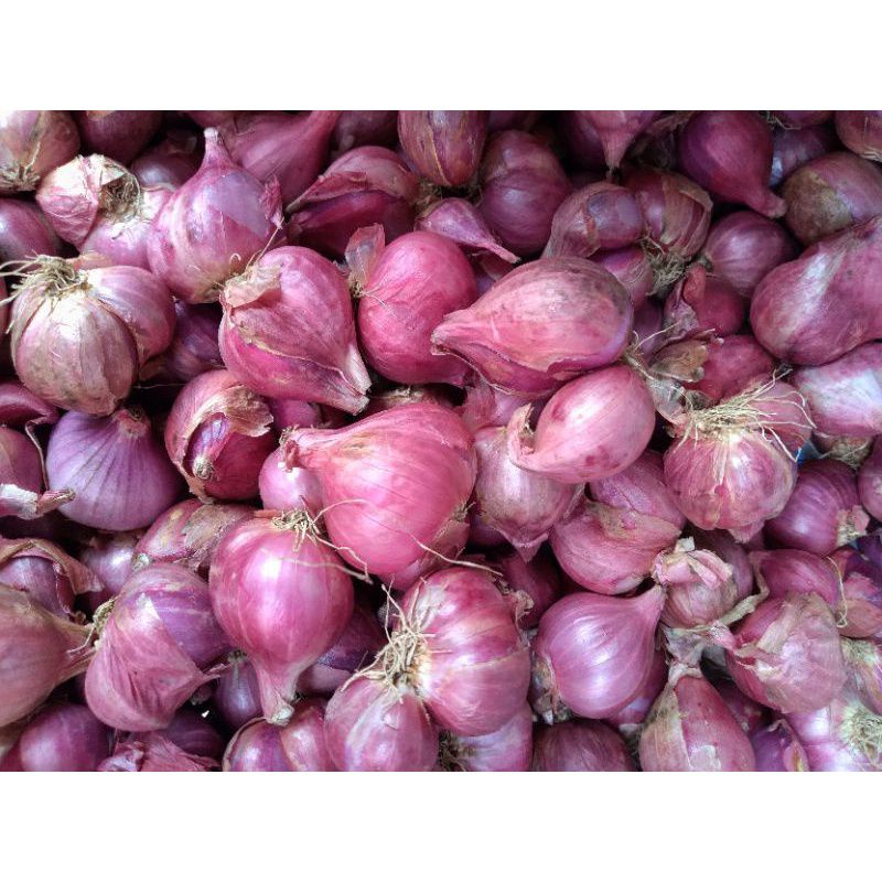 

BAWANG MERAH BERES MURAH