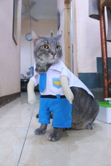 Kostum anak sekolah SMA untuk kucing dan anjing baju kucing murah size S M L XL