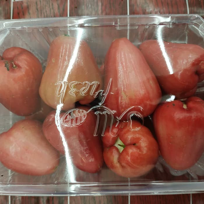 

Jambu air Cincalo Lilin 1kg
