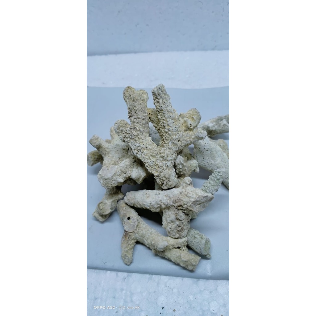 media filter karang jahe ph air