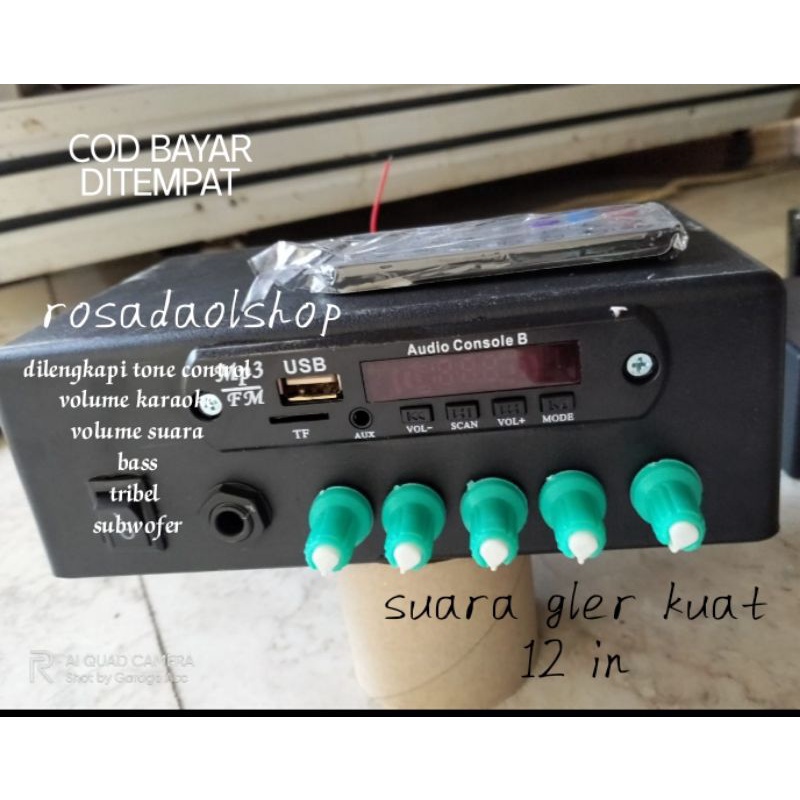 AMPLIFIER MINI 12 VOLT RAKITAN KLAS D KARAOKE