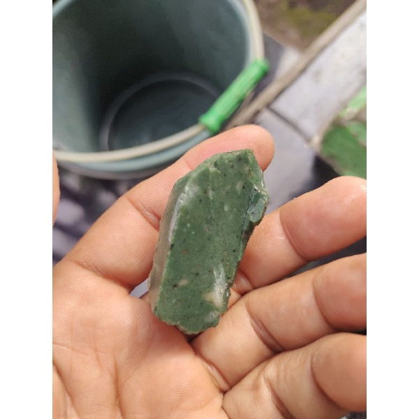 bacan bisori hijo botol jumbo Halmahera 05