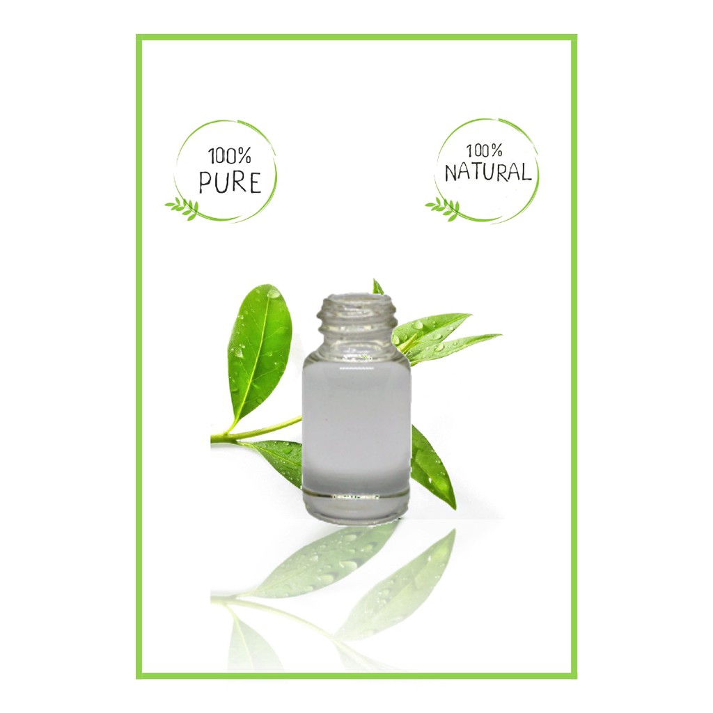 Pure Tea Tree Essential Oil / Minyak Esensial Atsiri TeaTree Murni 500ml