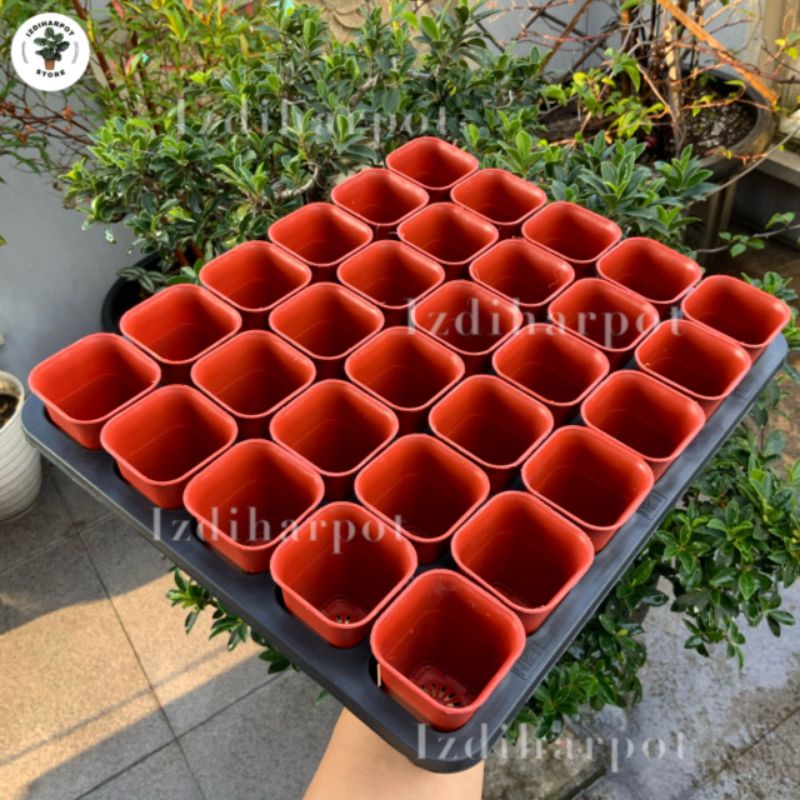 1 SET TRAY LUBANG 30 + POT NKT KOTAK 5CM MERAH BATA 30 PCS | TRAY SEMAI BIBIT