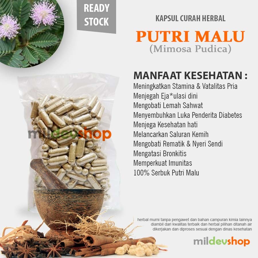 PUTRI MALU 100 Kapsul Herbal Luka Diabetes