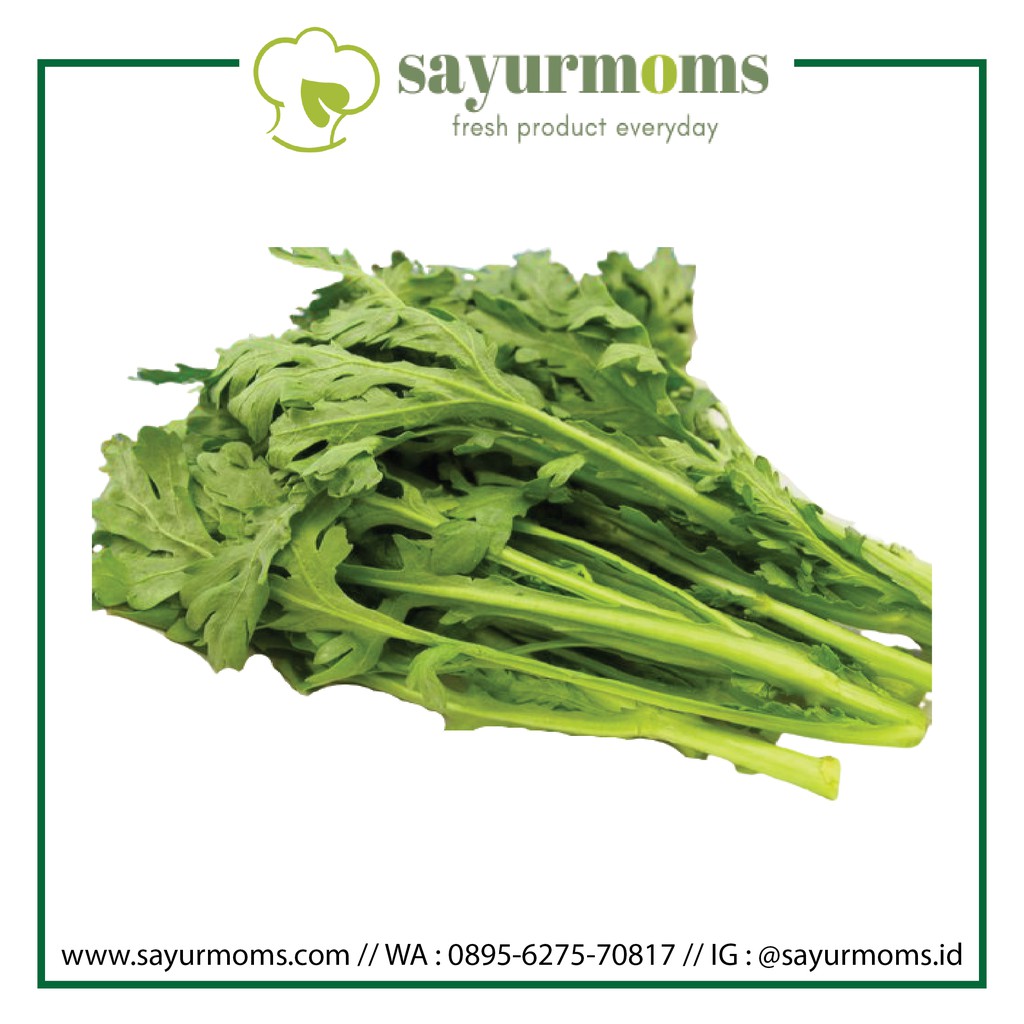 

Sayur Tango 1 kg Surabaya