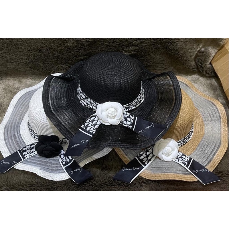 Topi Pantai Christian dior