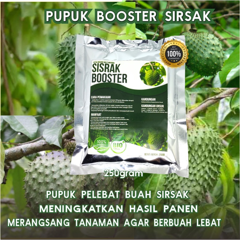 Pupuk Sirsak Organik Perangsang Buah Agar Cepat Berbuah Lebat dan Pupuk Booster Pelebat Buah Sirsak