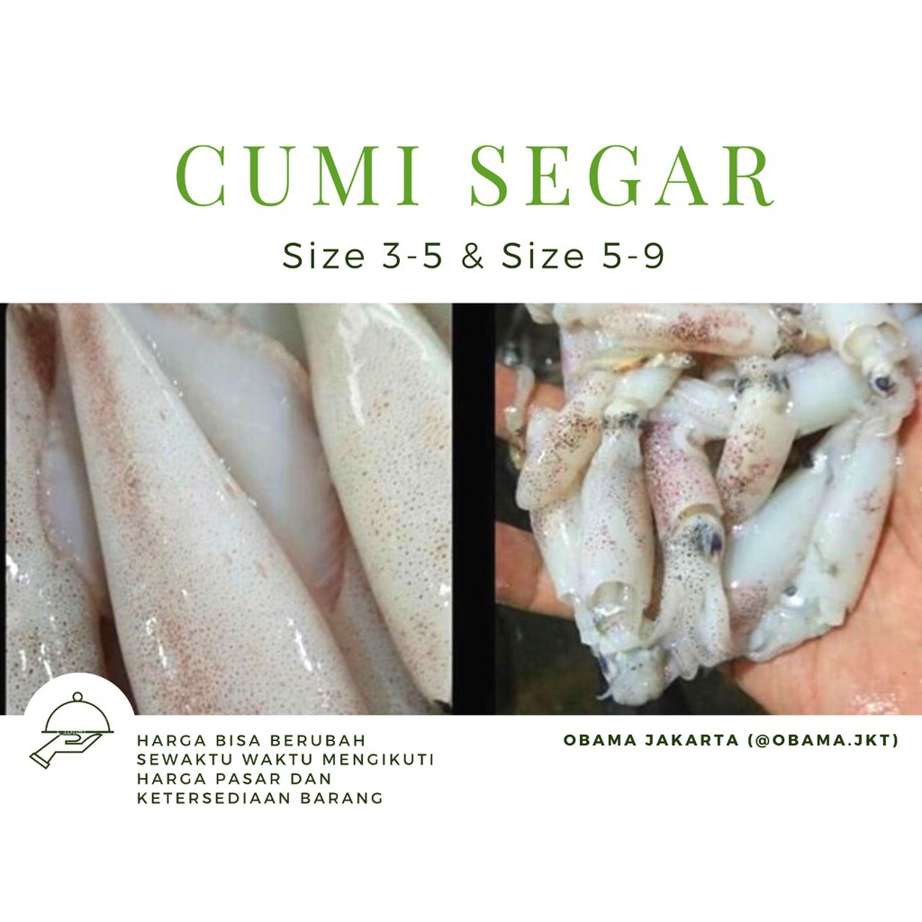

CUMI SEGAR
