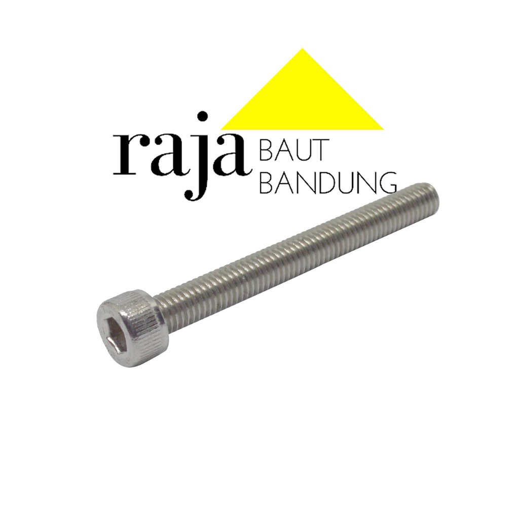 Baut L M5 5x45 Stainless Steel 304 THE