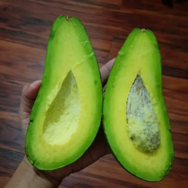 

Alpukat mentega