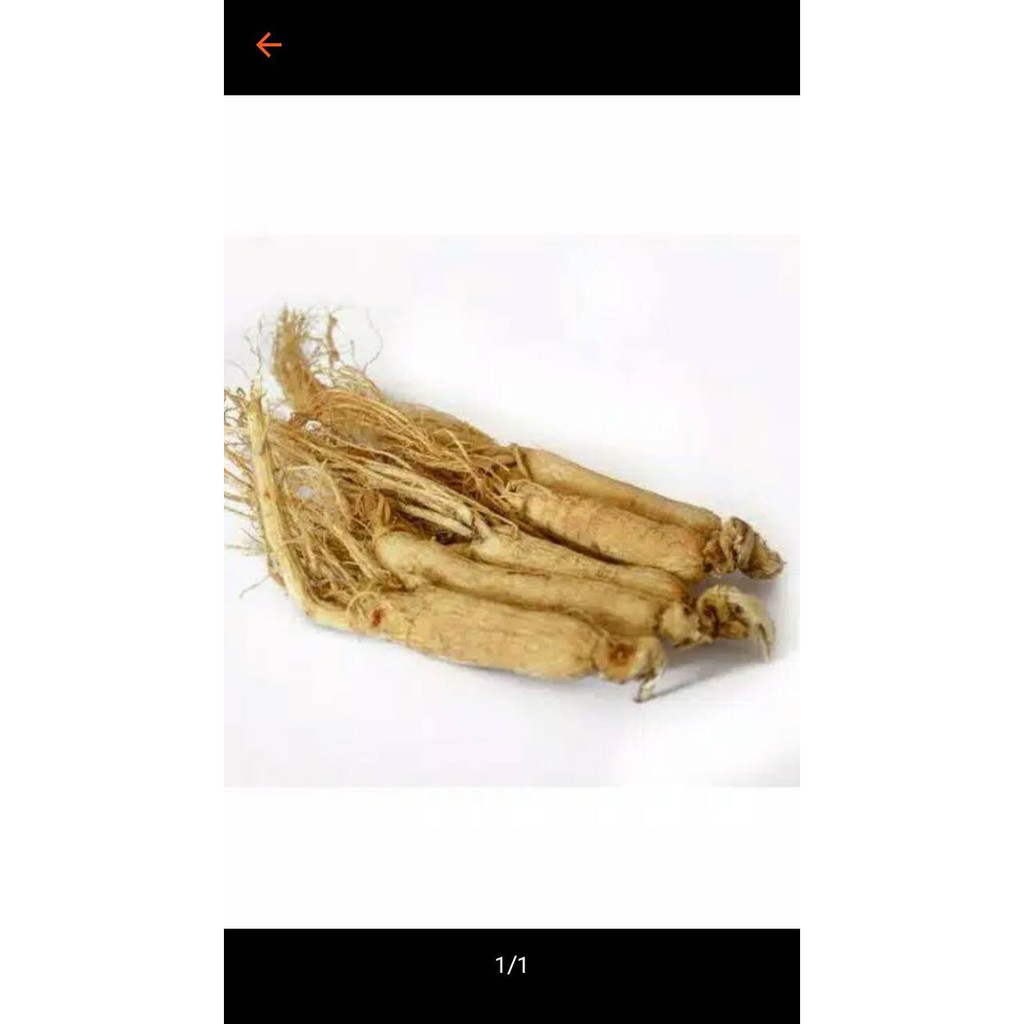 

SGS AKAR GINSENG CINA UTUH 10 GRAM
