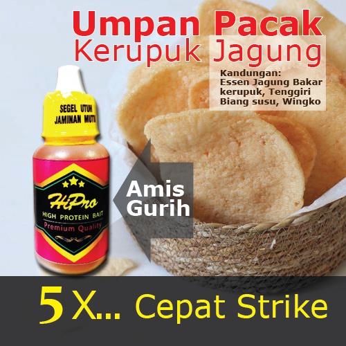 Essen Ikan Mas AMIS GURIH Esen ikan mas Lomba Galapung Galatama Harian Essen Gacor Essen Jahat