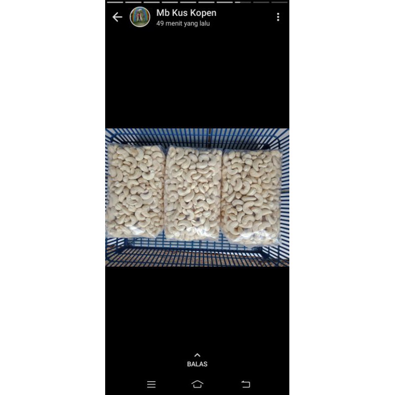 

kacang mete mentah asli wonogiri