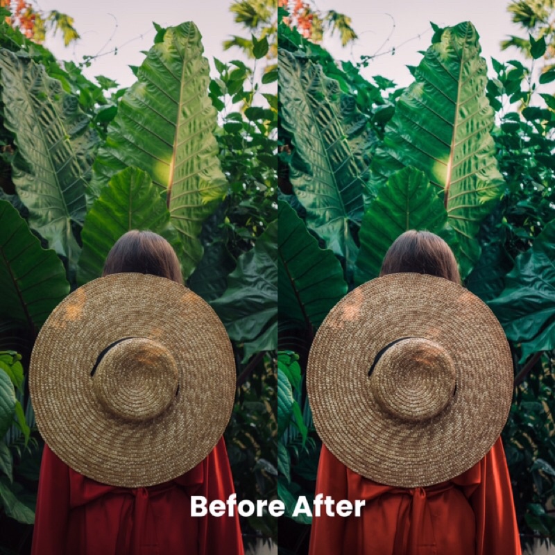 TROPICAL BALI PRESET LIGHTROOM (iOS &amp; ANDROID)