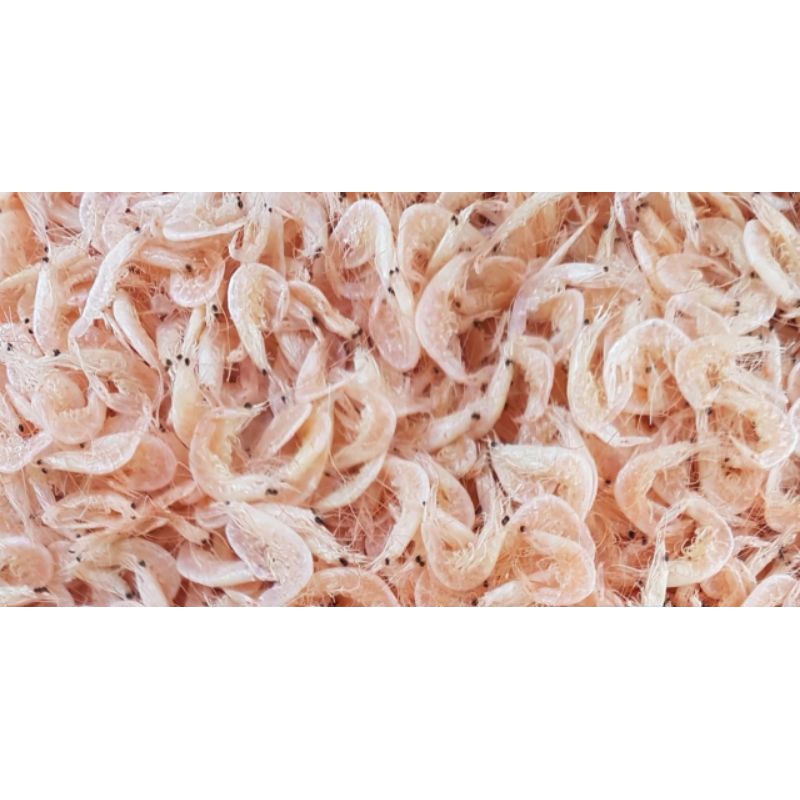 

Udang Rebon Super 250 Gram