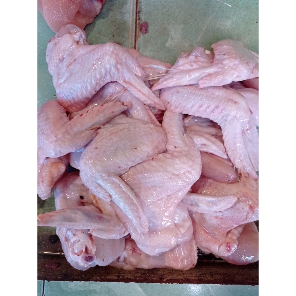 

Sayap Ayam