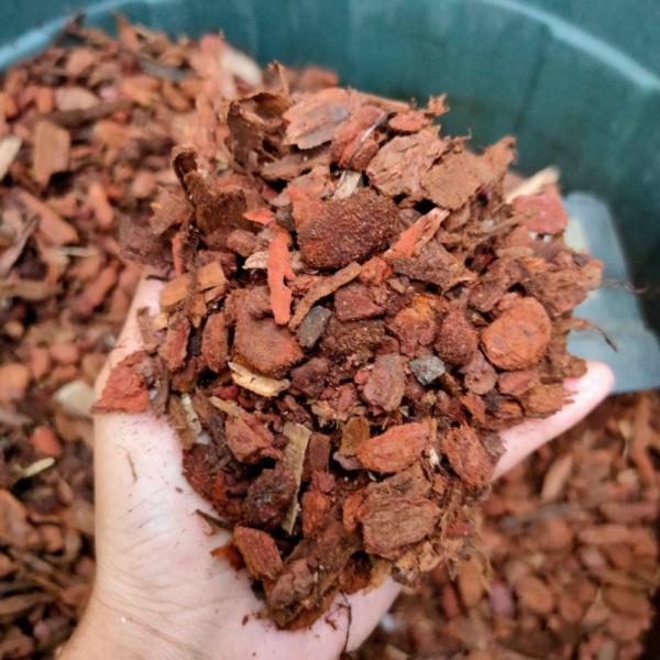 Unik Pine bark natural Limited