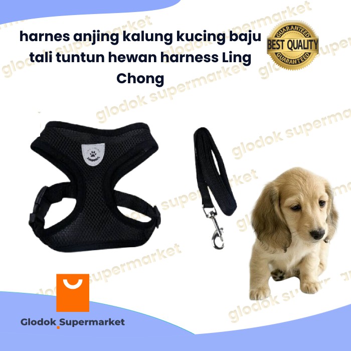 Harnes anjing kalung kucing baju tali tuntun hewan harness Ling Chong