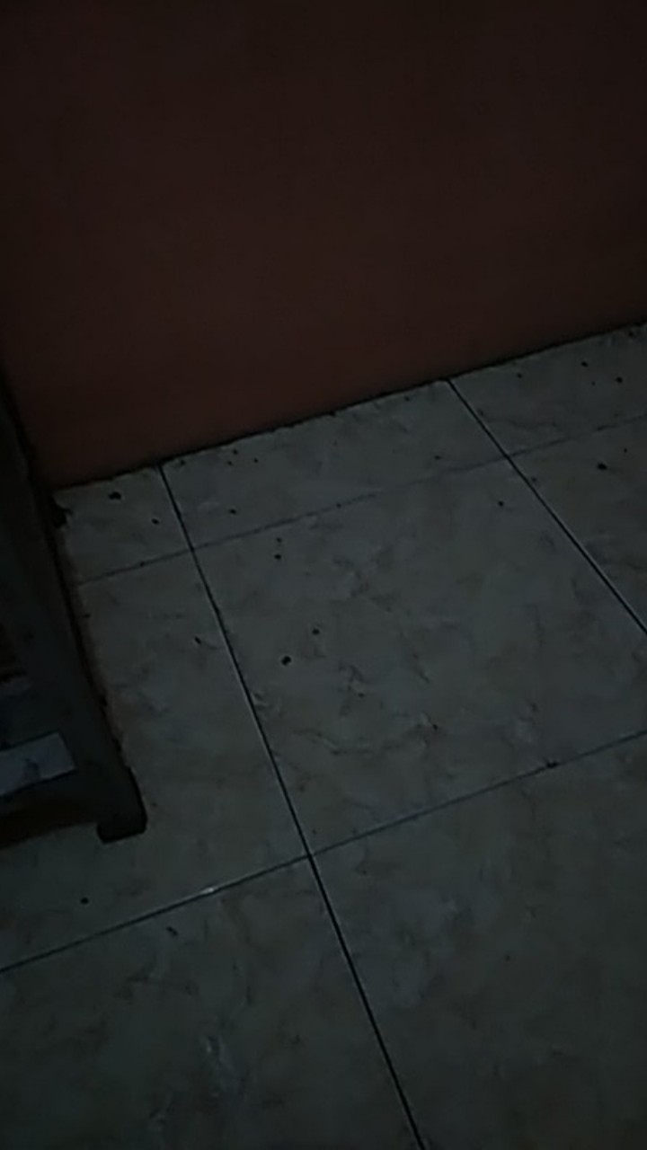 Aromateraphy Diffuser Humidifier Essential Oil Pewangi Ruangan Baik Buat Kesehatan