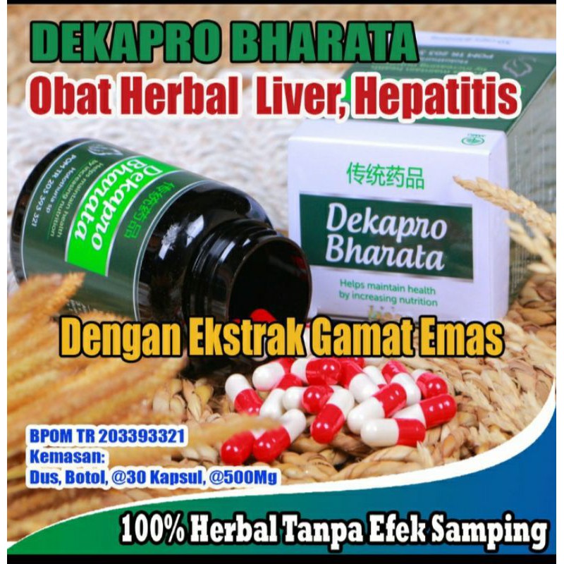 

OBAT HERBAL LIVER HEPATITIS