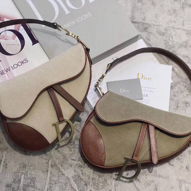 Tas C.DiorSaddle Vintage