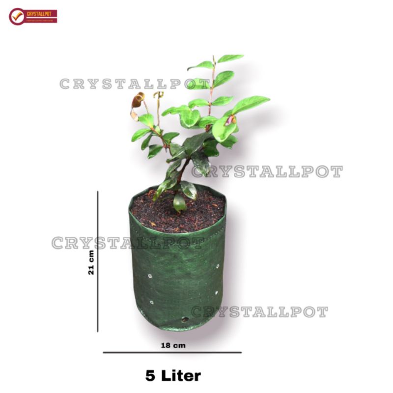 planter bag eco pack 5 liter no handle untuk pot tanaman - PLANTER BAG 5 LITER