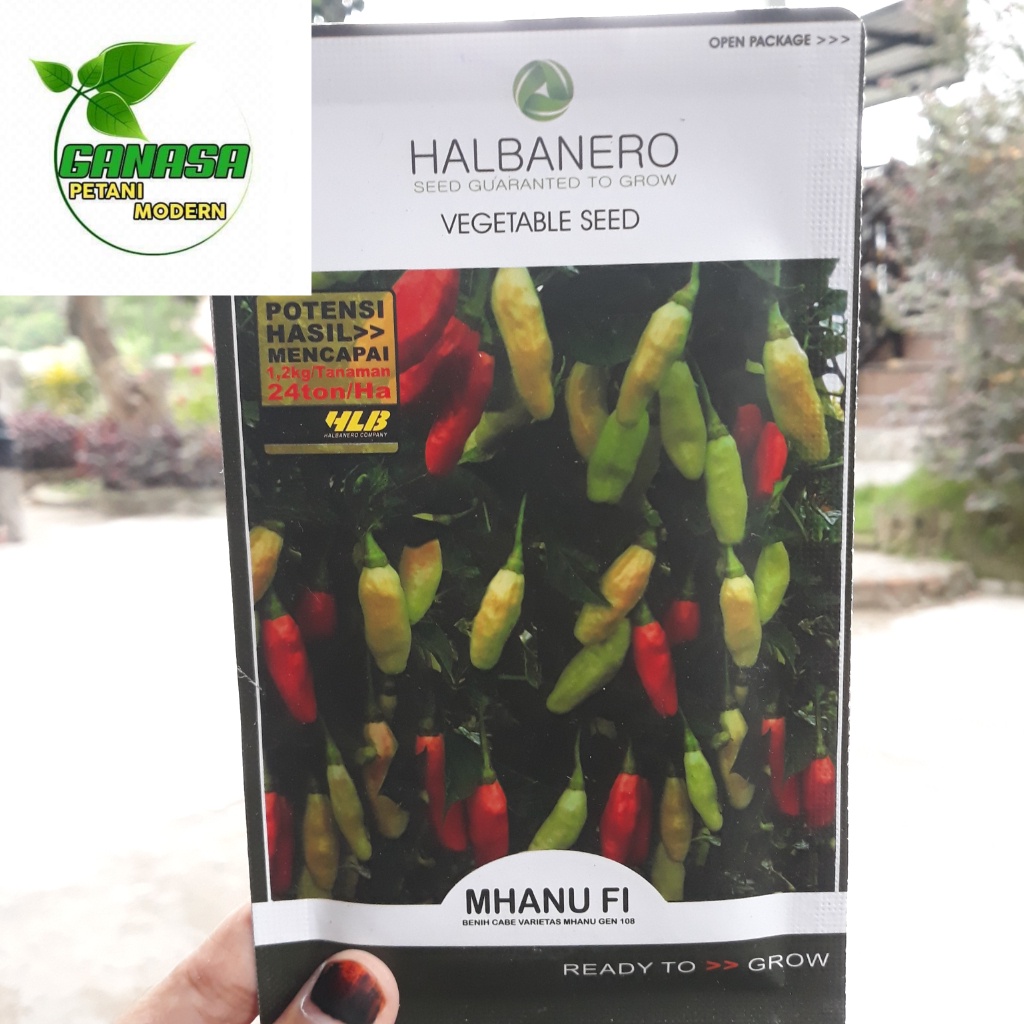 Benih cabe rawit lombok cabai kecil MHANU F1 10gram Cabai Rawit Halbanero Vegetable seed