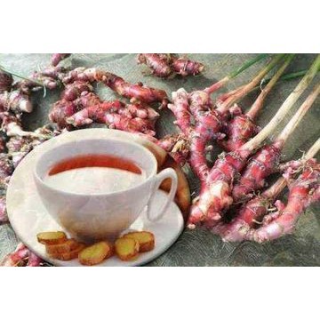 

jamu jahe merah madu plus ginseng minuman herbal 20g - DIGITV