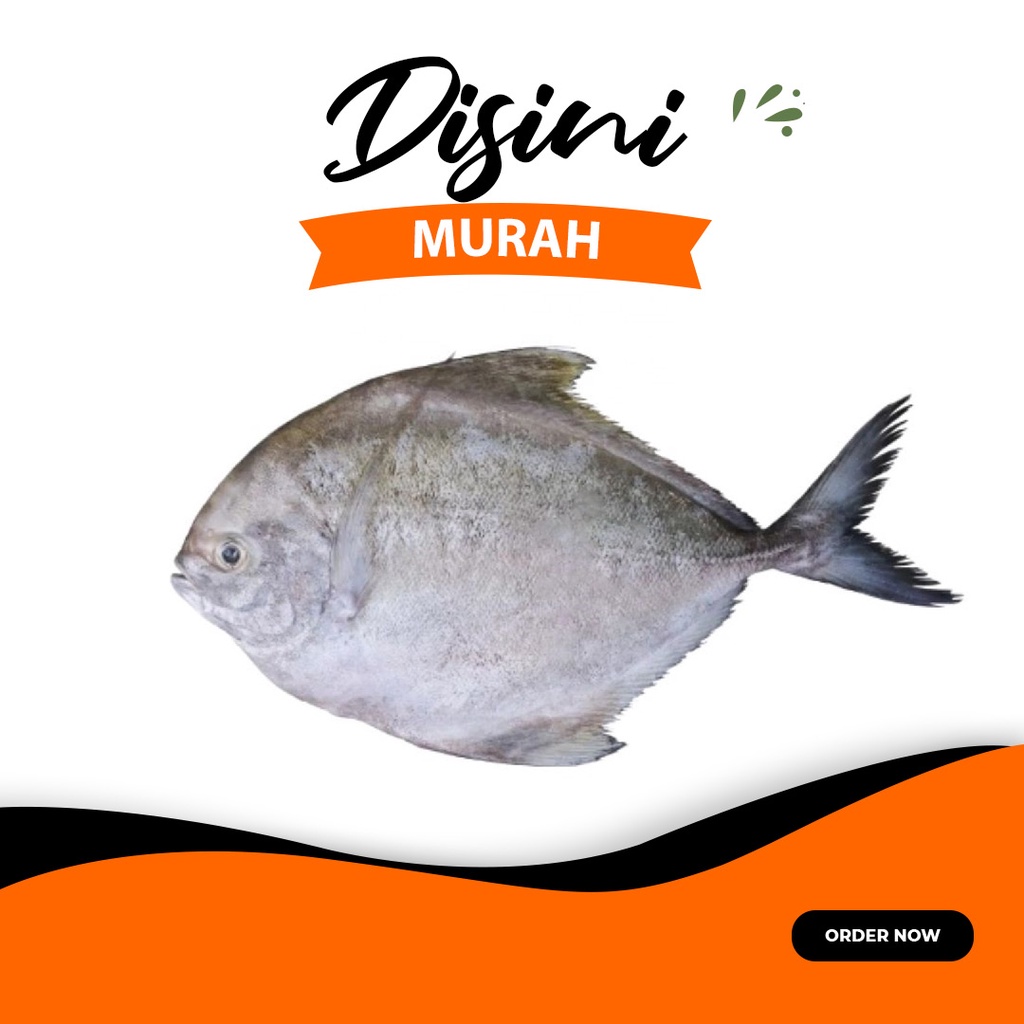 

ikan bawal hitam per 500gram