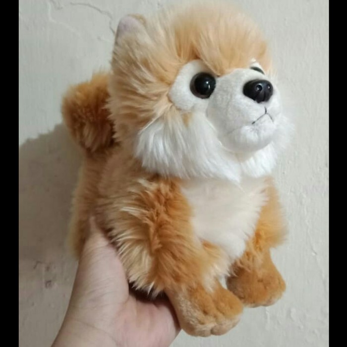 Ready Stok Exported Boneka Anjing Pom Imut ku terlaris