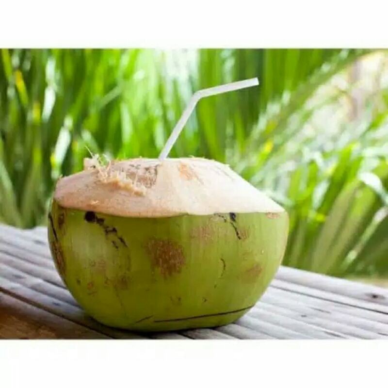 

KELAPA MUDA UTUH , KELAPA MUDA SEGAR ,KELAPA MUDA TERBAIK