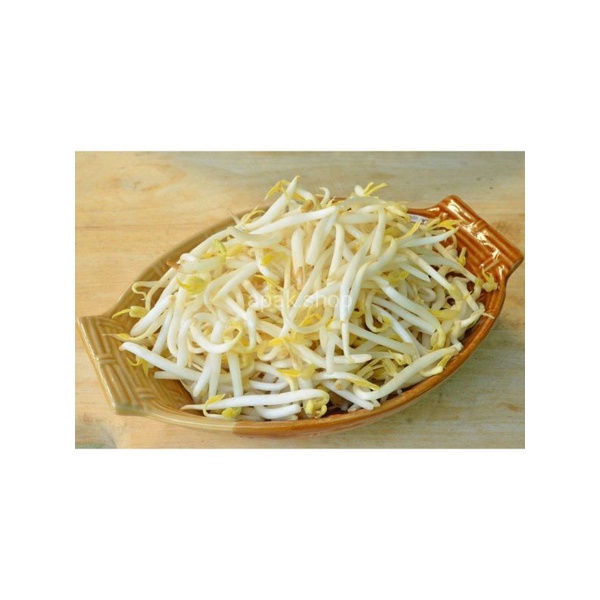 

Toge Petik 250 gram