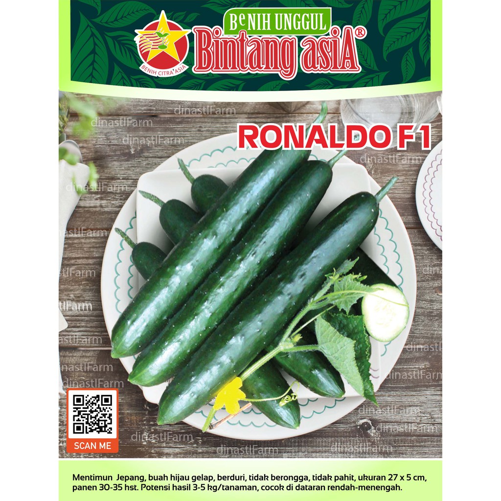 Benih MenTimun Jepang Ronaldo F1 10gr