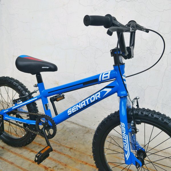 GOES Sehat                 Sepeda Anak BMX Senator 18 Speed Trap